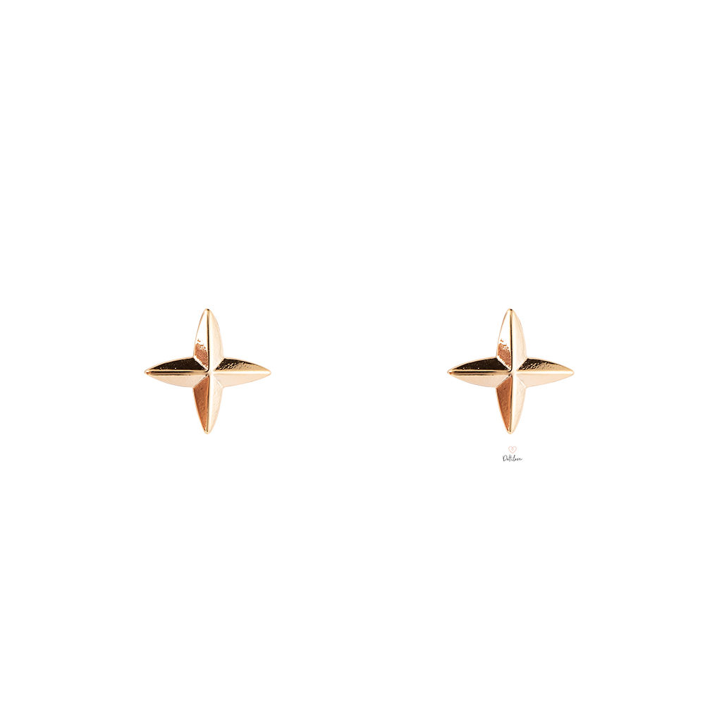 Four-angle Star Plated Earrings