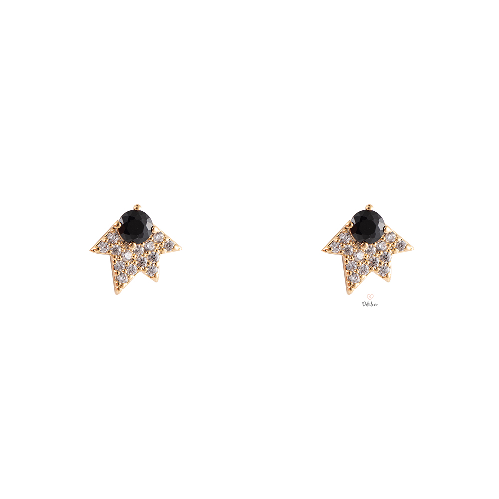 Black Point Plated Earrings