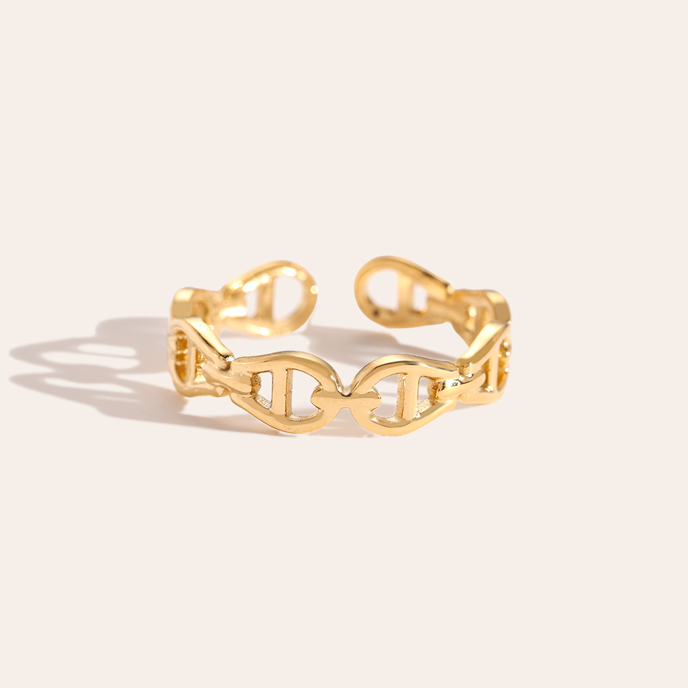 Linked Horseshoe Edelstahl Ring      