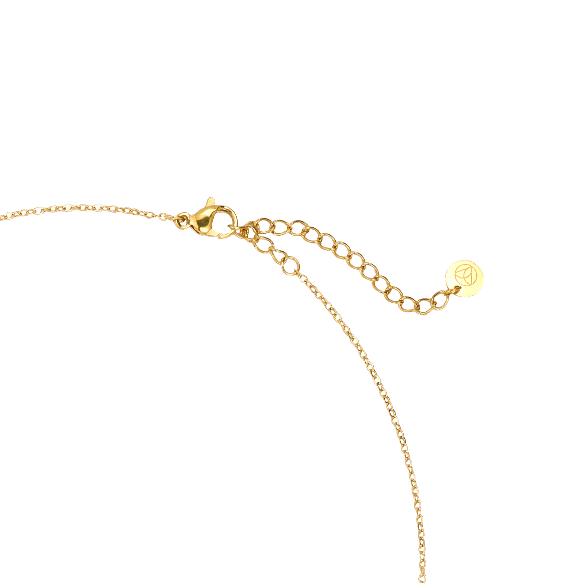 43cm Golden Beetle stainless steel necklace   