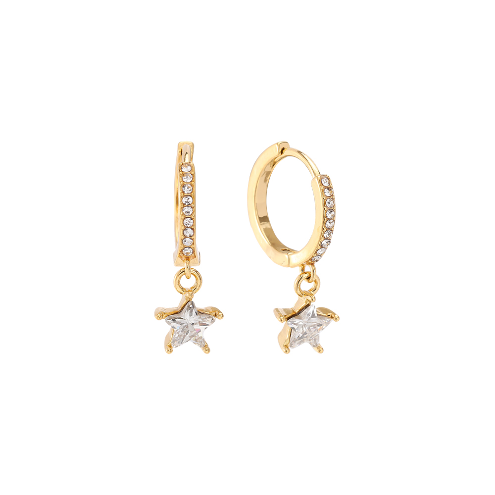 One Diamond Star stainless steel earrings    