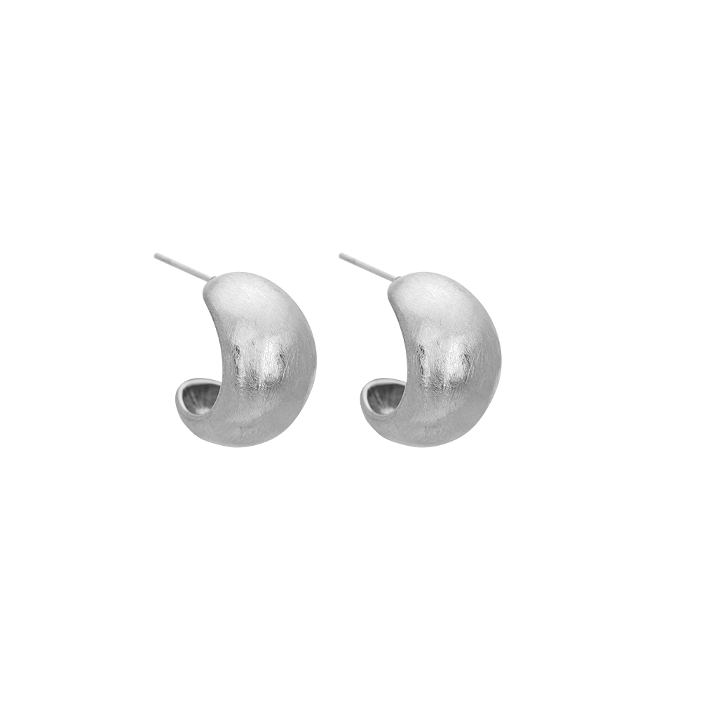 Dick Style Place For Love Matte Stainless Steel Earrings  